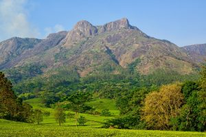 Mt. Mulanje